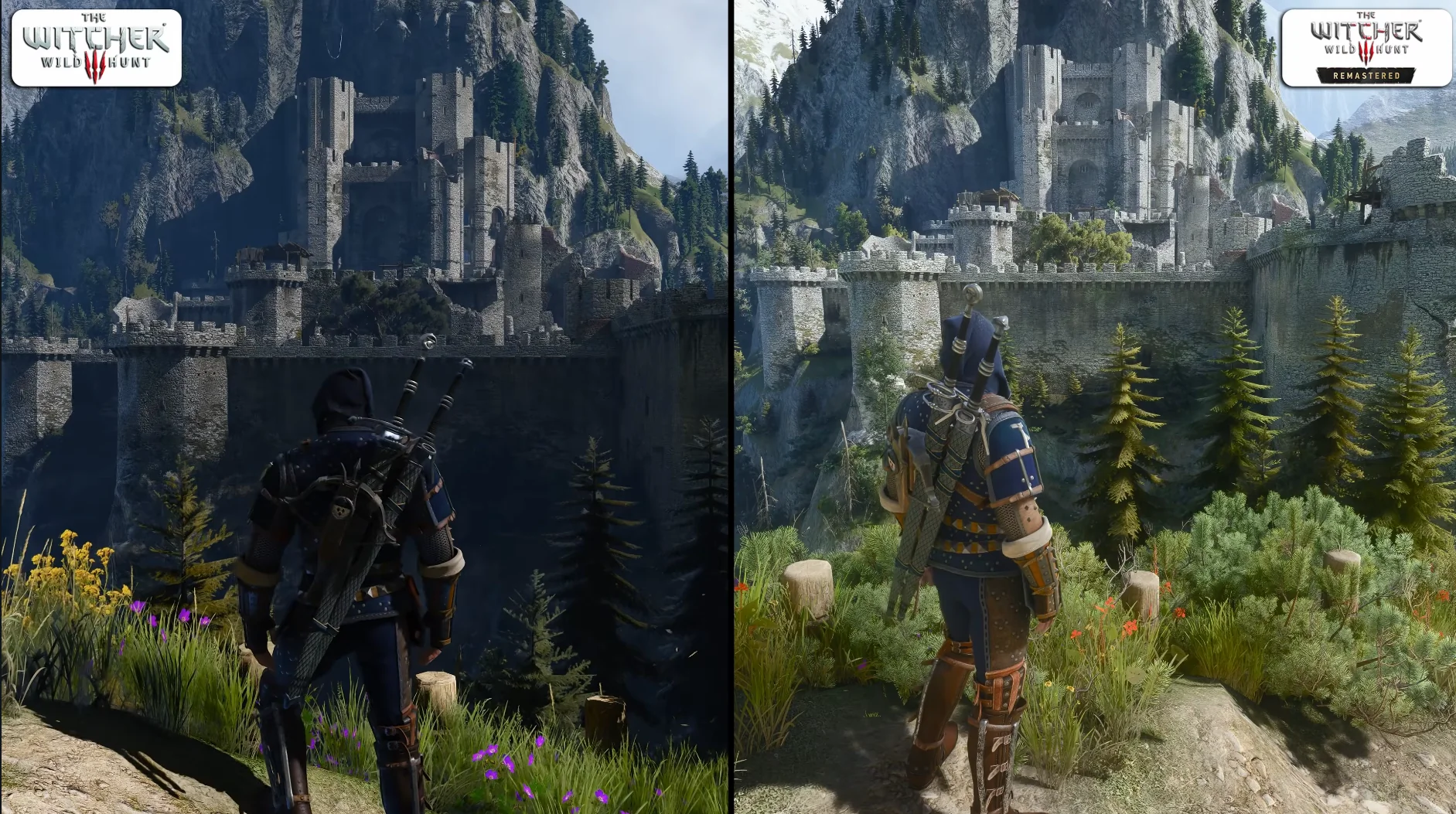 The witcher 3 Color