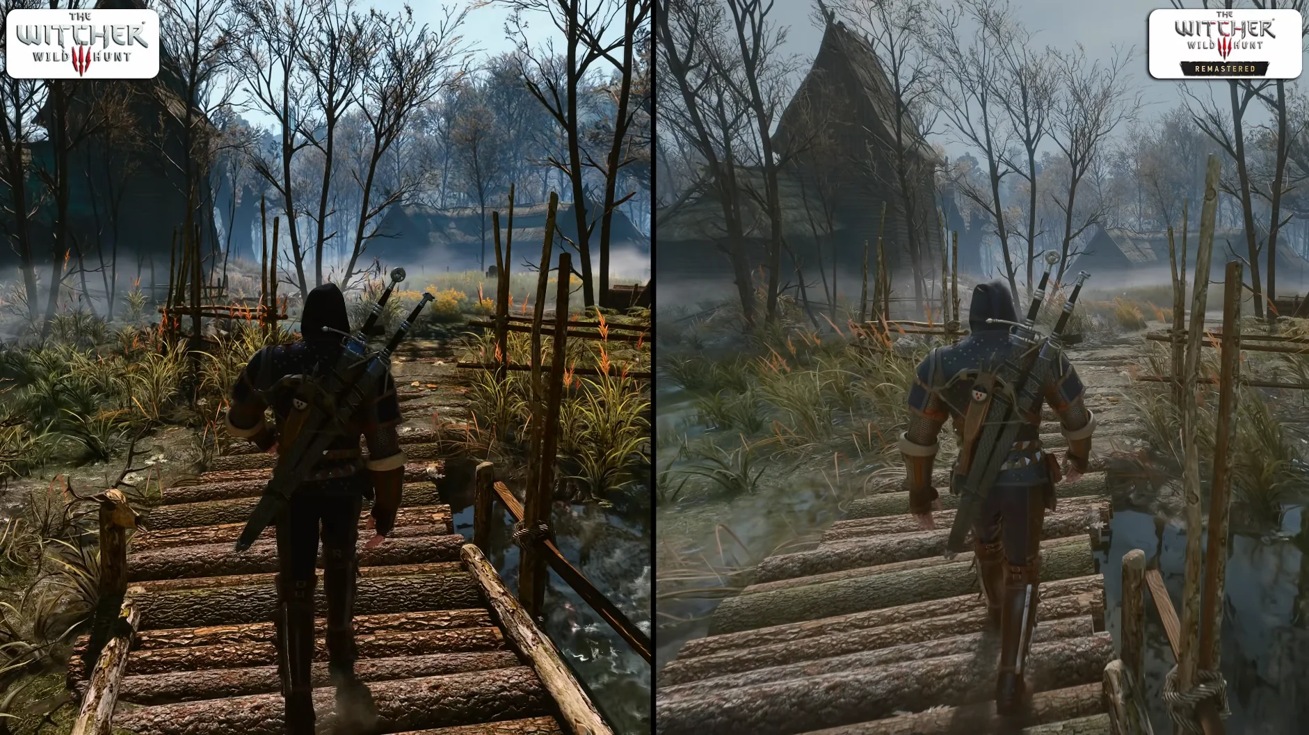 The witcher 3 color 2